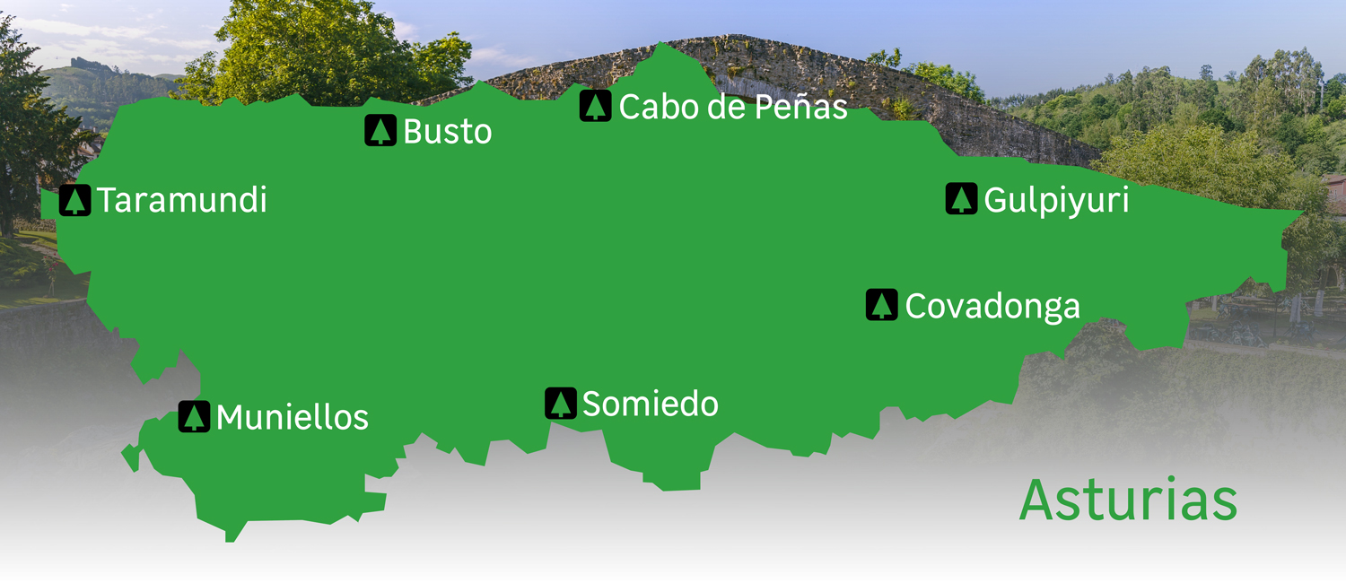 Mapa Naturaleza ASturias